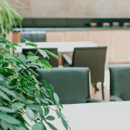 Nuezhet قيصرية