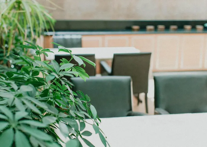 Nuezhet Кайсери