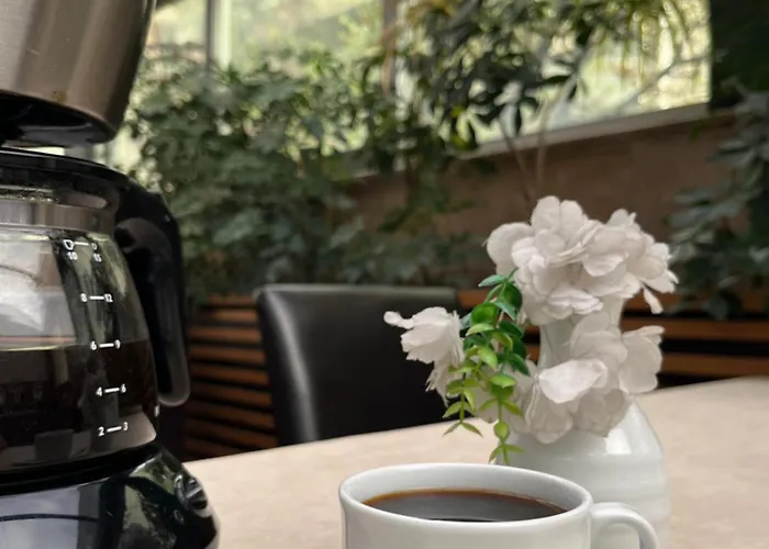 努兹赫特酒店 酒店