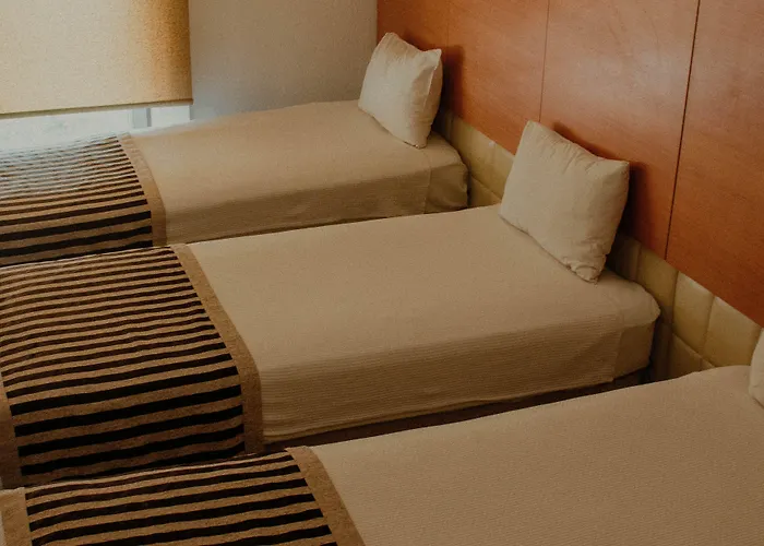 酒店 努兹赫特酒店 4*